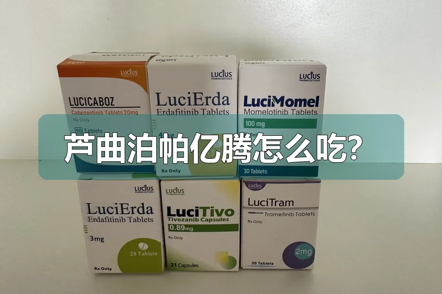 芦曲泊帕亿腾怎么吃?